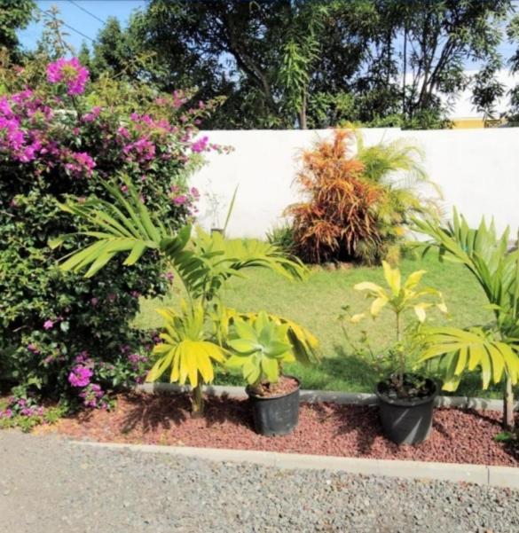 Jolie Maison T3 A St Pierre, 2 Chambres Avec Sdb, Grande Varangue, Jardin Saint Pierre Exterior photo